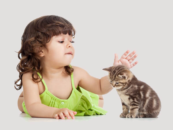 An image of a child and a cat engaging in a tender interaction.