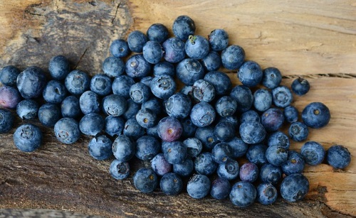 blueberries-2270379_640