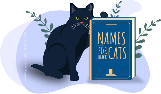 Names for Black Cats