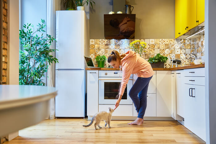 Keeping Cats off Counters Conclusion