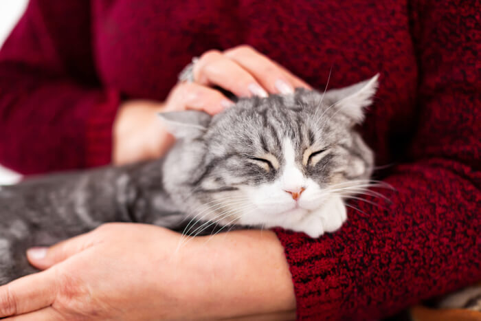 Woman holding her cat while affectionately petting it.