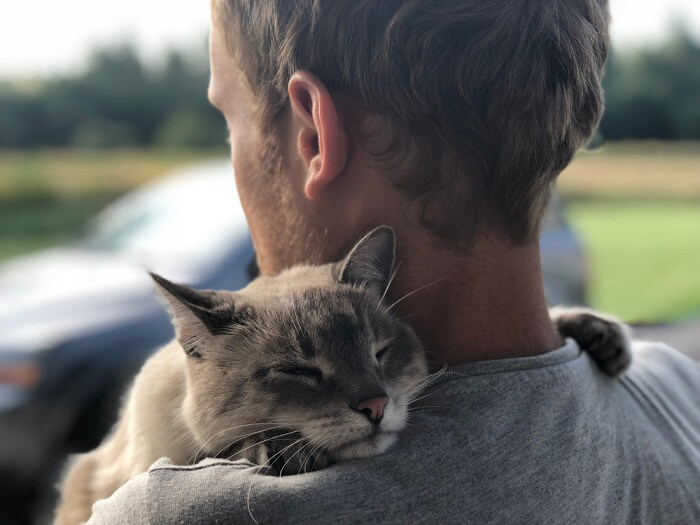 An emotive image featuring a person sitting and a cat positioned close by, appearing visibly sad.