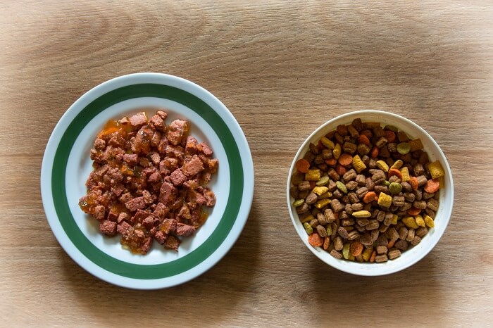 Dishes of wet and dry cat food