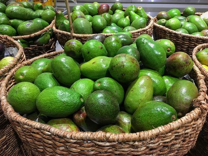 Avocado displayed in a natural setting