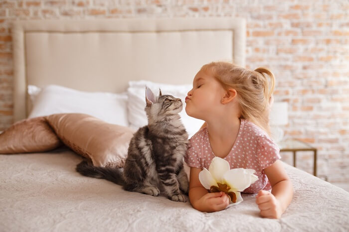 An image featuring a girl interacting with a cat. 