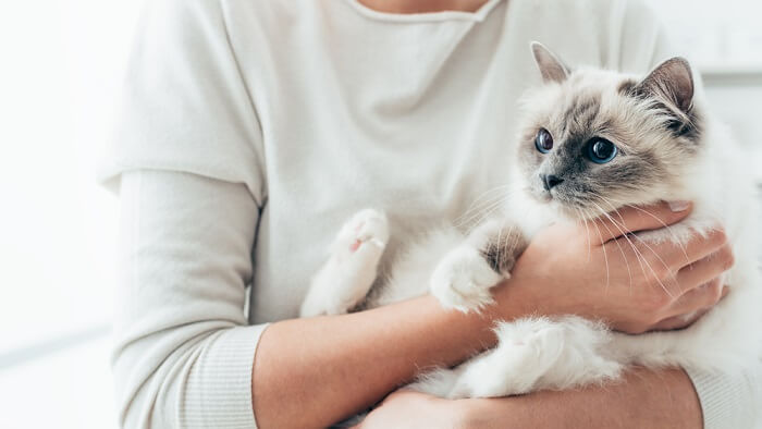 Woman sharing a warm hug with her feline companion.