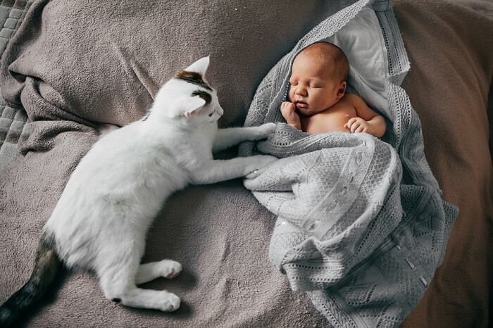 An image depicting a heartwarming moment between a baby and a cat.