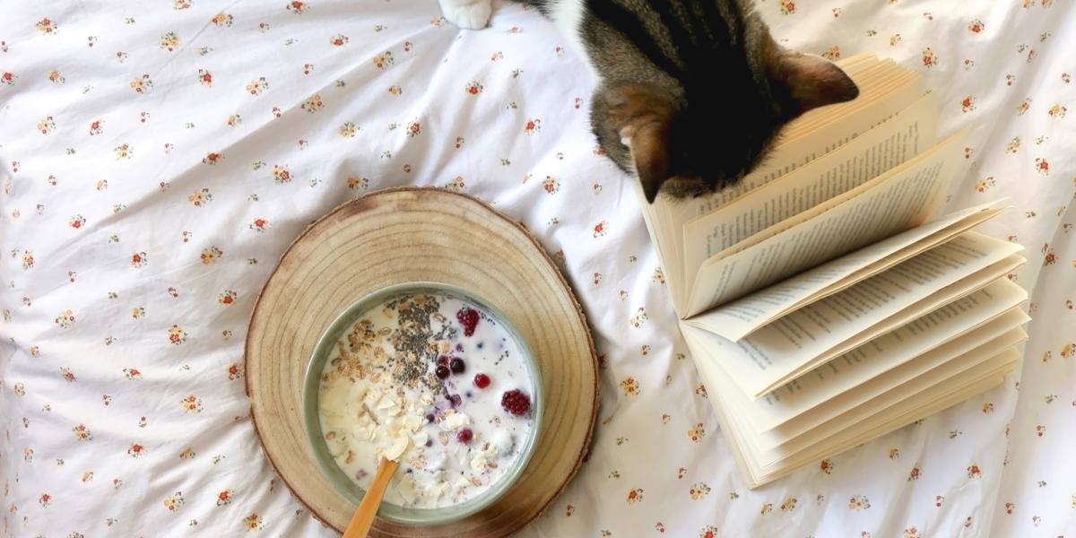 A cat comfortably nestled in a bed beside a bowl of oatmeal and a book, creating a cozy and charming scene