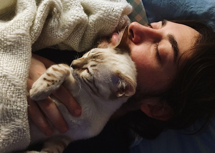 Man and cat sleeping peacefully together.