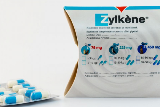 Zylkene for Cats: Overview, Dosage & Side Effects