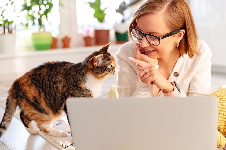 A curious and alert cat, with its ears perked up and eyes focused, eagerly seeking attention and interaction.