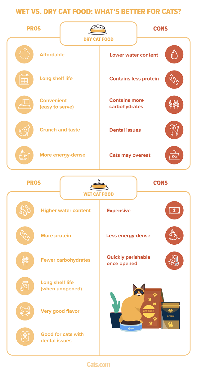 Wet vs. Dry Cat Food_ What’s Better For Cats