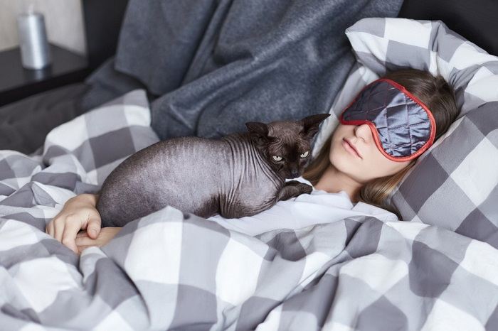 An adorable gray and white cat curled up comfortably, seeking security and coziness in its surroundings.