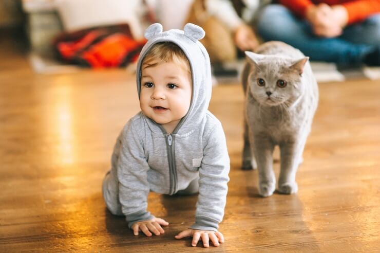 A heartwarming picture of a baby with a cat, illustrating a touching and gentle connection between the two.