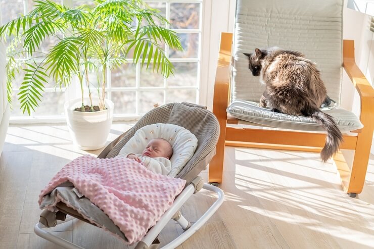 A heartwarming scene of a cat snuggled up with a baby, sharing a tender moment.