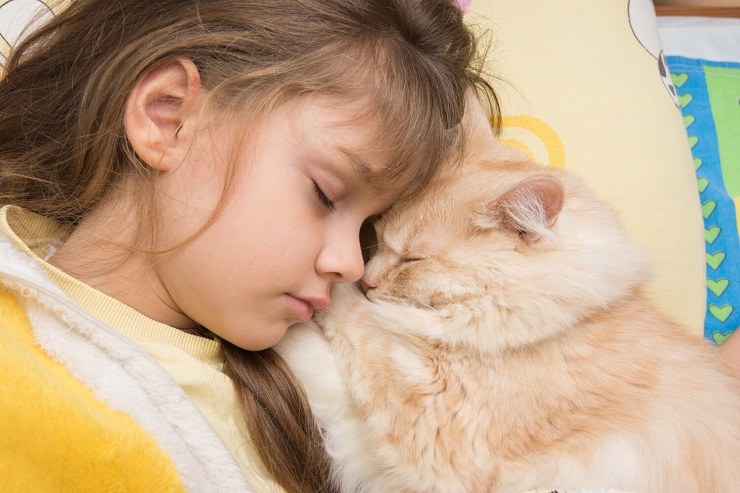 The image portrays a cat in a restful sleep position, with its head tucked in, showcasing their ability to find cozy and secure sleeping postures.