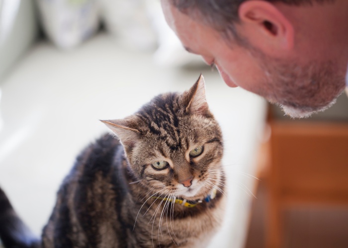 Image of a man sharing a tender and affectionate moment with his cat, showcasing the gentle and loving bond they have formed.