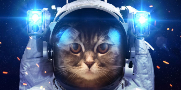 150 Best Space Names for Cats