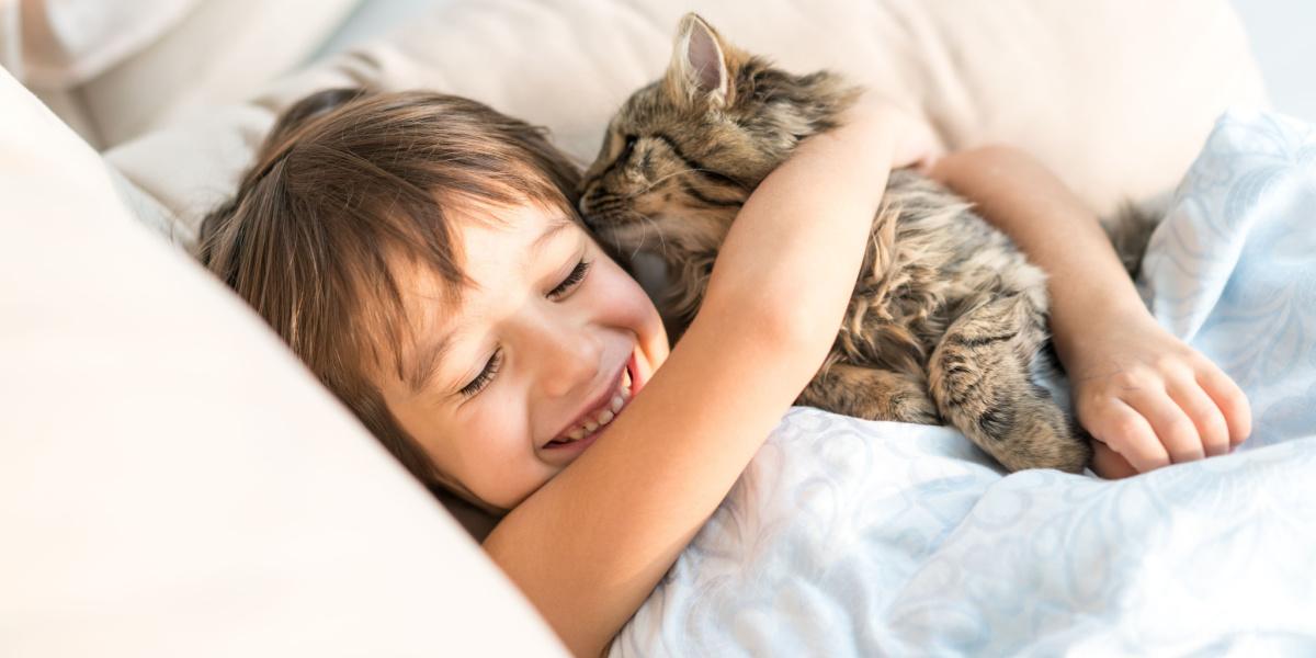 Photo of a cat affectionately licking the hair of its owner, showcasing a charming and intimate moment of bonding between a cat and its human.