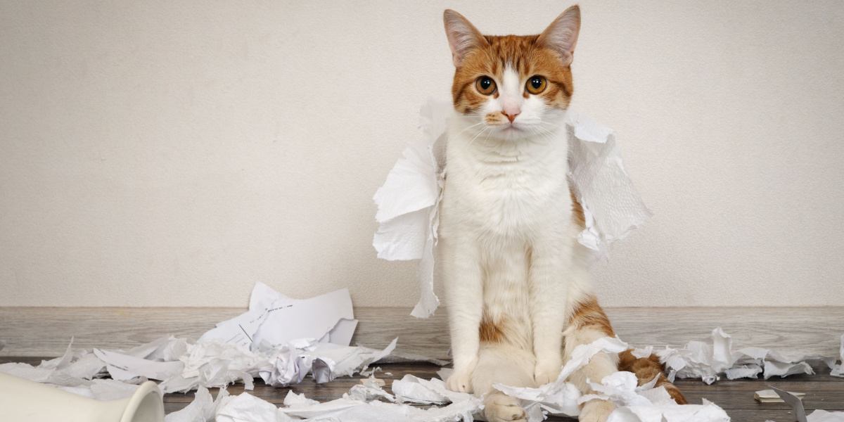 An image depicting a mischievous cat causing a playful mess by knocking over a stack of papers from a stand, embodying the curious and sometimes mischievous nature of feline exploration.