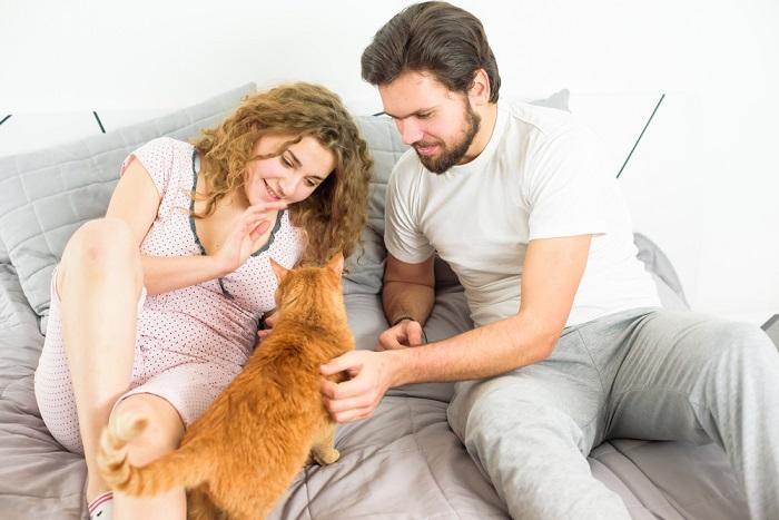 Cat sharing a moment with a couple.