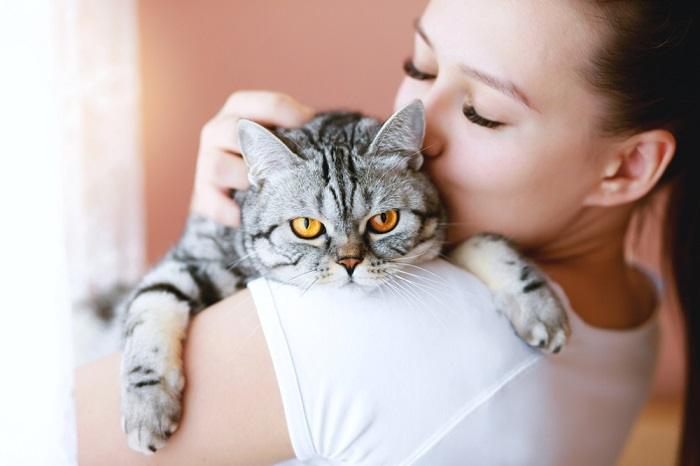 A heartwarming moment between a cat and a human, showcasing their special bond and connection.