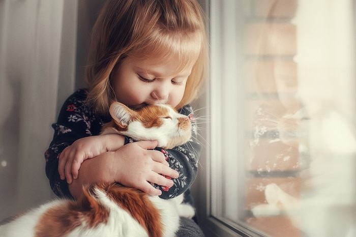 A child interacting with a friendly cat, fostering a joyful and playful bond between a young kid and a feline companion.