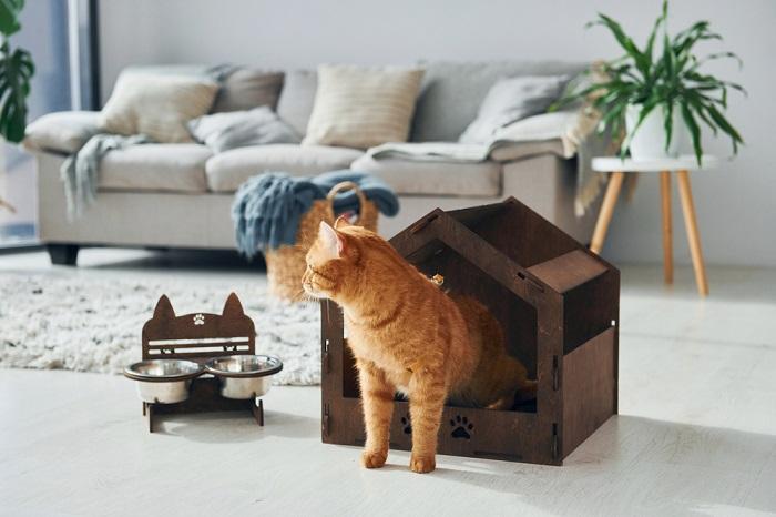 Cat using the litter box frequently.