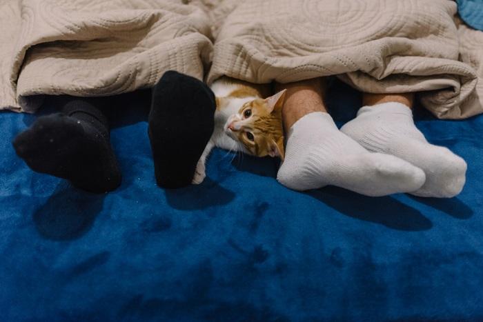 Cat finding comfort between a couple.