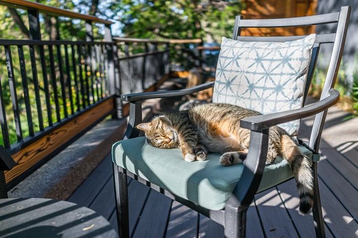 An image of a cat peacefully sleeping in a comfortable chair.