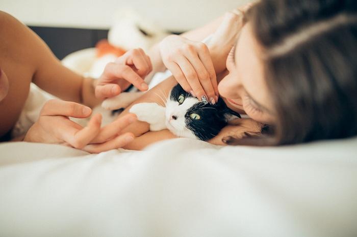 Couple bonding with their cat.