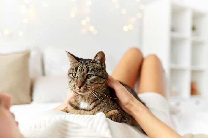 An image of a woman peacefully sleeping with her cat nestled beside her.