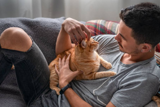 12 Signs of an Extremely Happy Cat