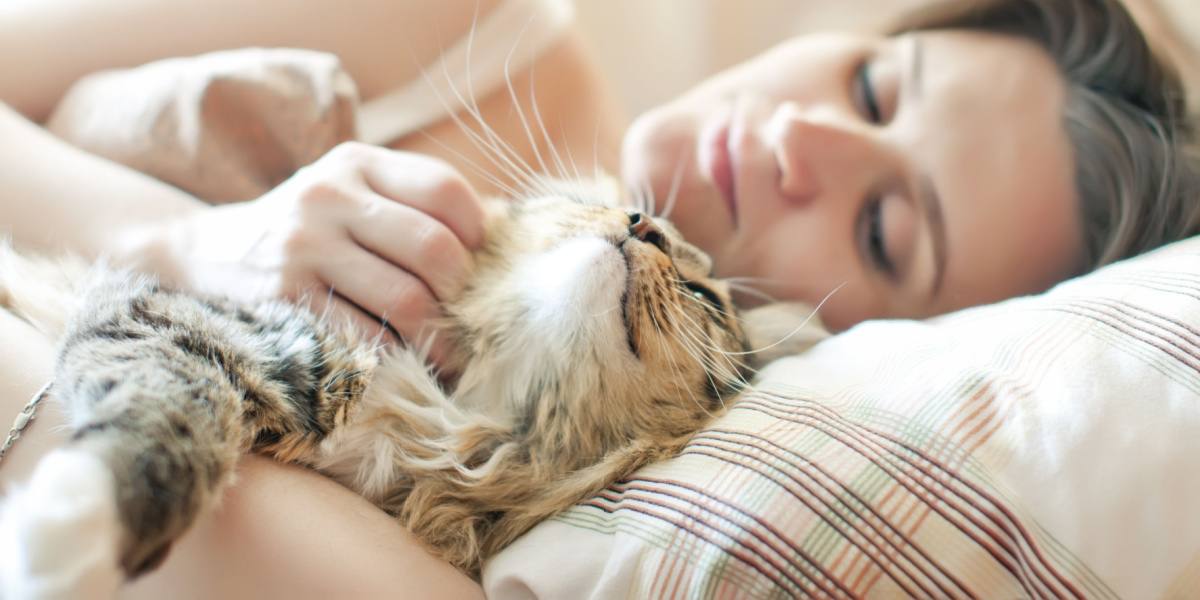 Cat comfortably nestled in a pillow.