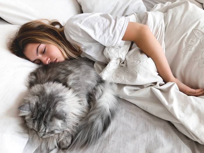 The image captures a woman and her feline companion sharing a cozy moment on a pillow, highlighting their bond and comfort together.