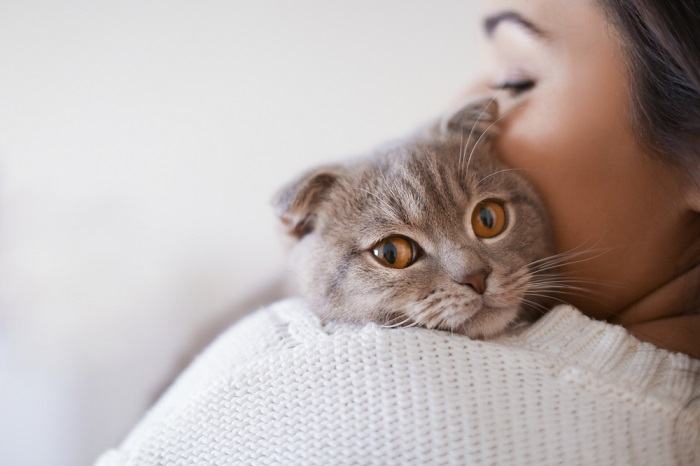 Cute cat and woman together.