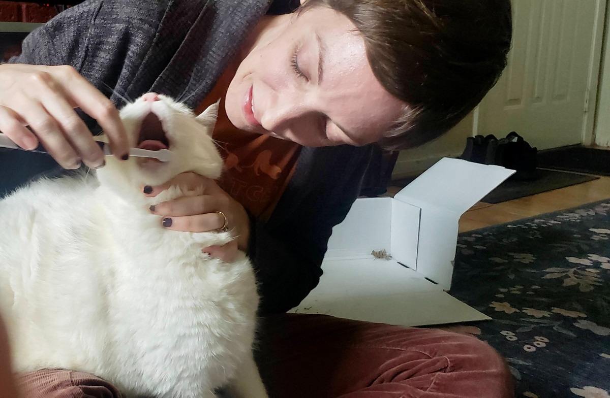 The woman is helping to brush her cat.