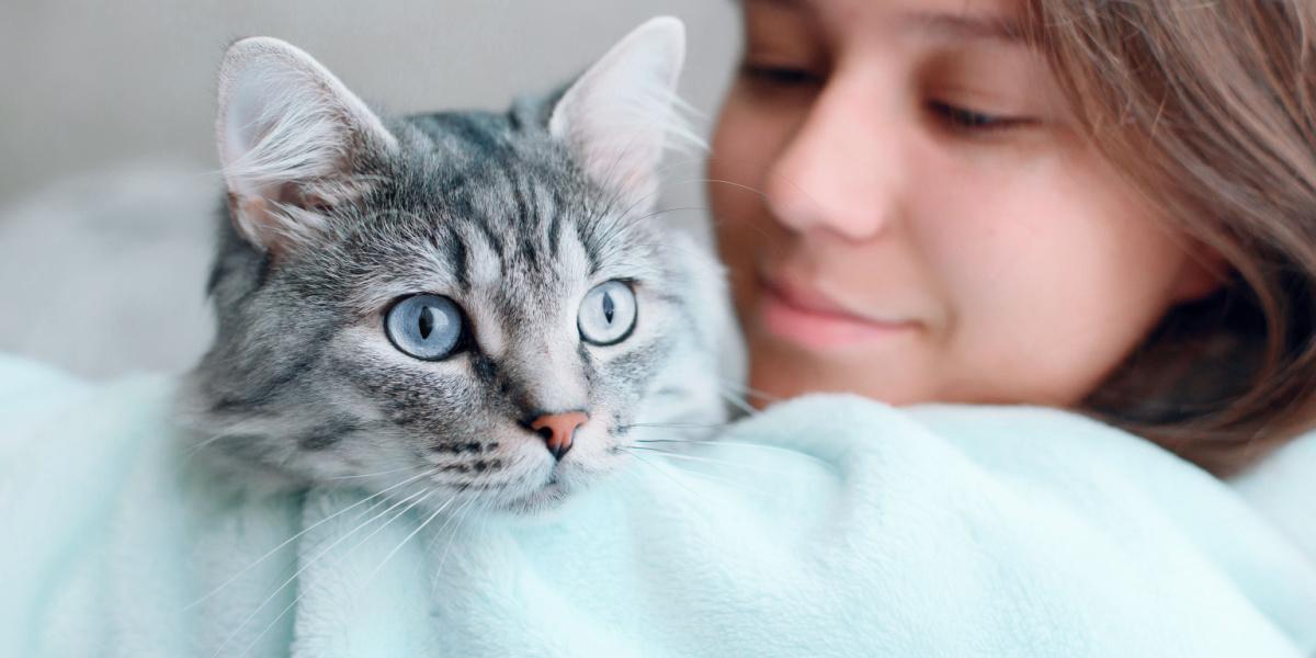 Cat and girl together.