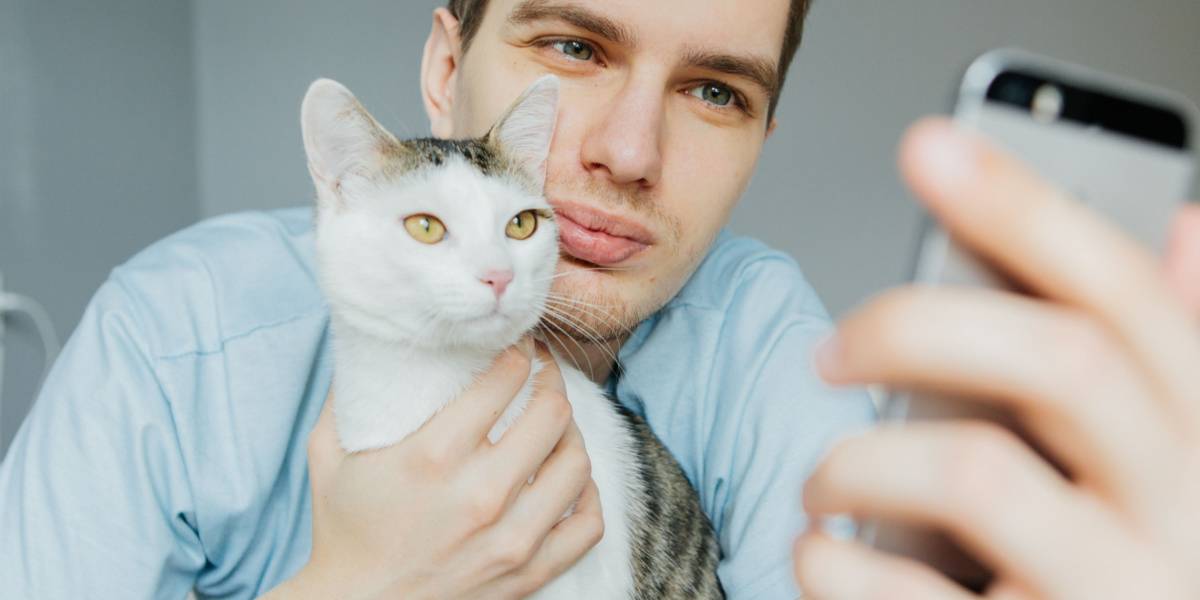 Cat and man together.