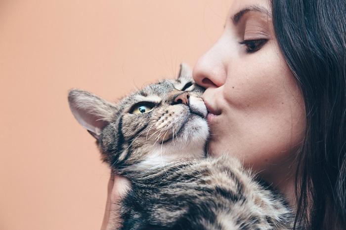 An adorable image capturing a heartwarming moment of two cats engaging in a sweet and affectionate interaction.