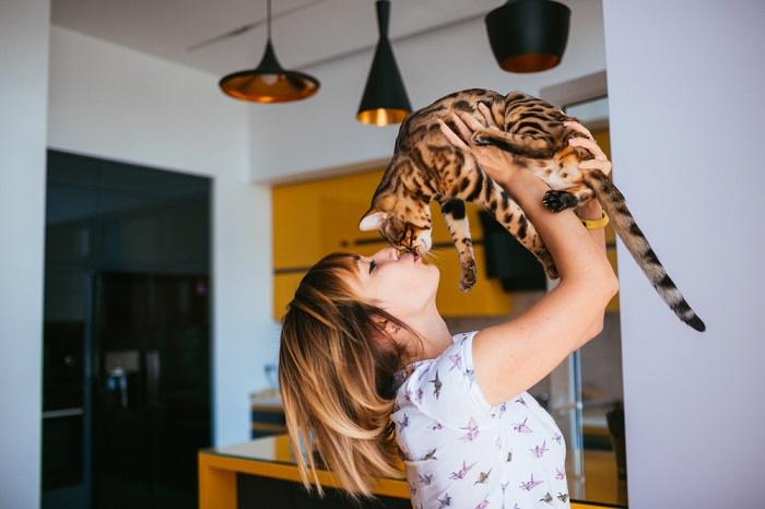 Cat being kissed.