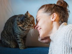 cat licking woman