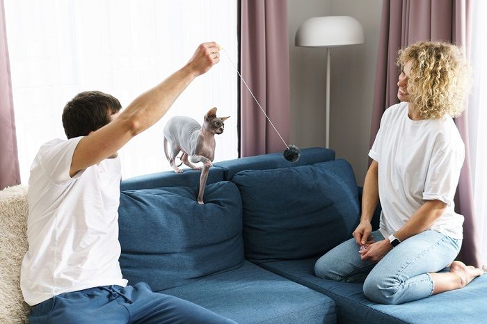 couple playing with their cat