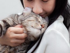 cat rubbing it’s head on a girl