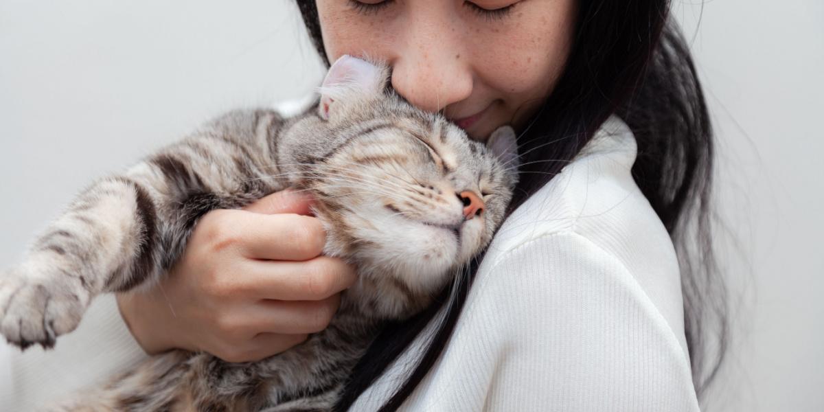 cat rubbing it’s head on a girl