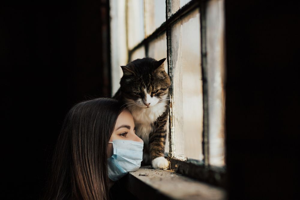 An image depicting a girl with her sad but lovely cat.