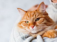 man holding cat