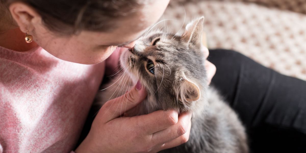 girl kissing cat to nose