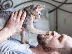 Man playing with his grey cat on a bed.