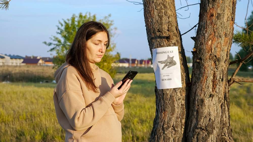 missing cat poster hanging on tree trunk